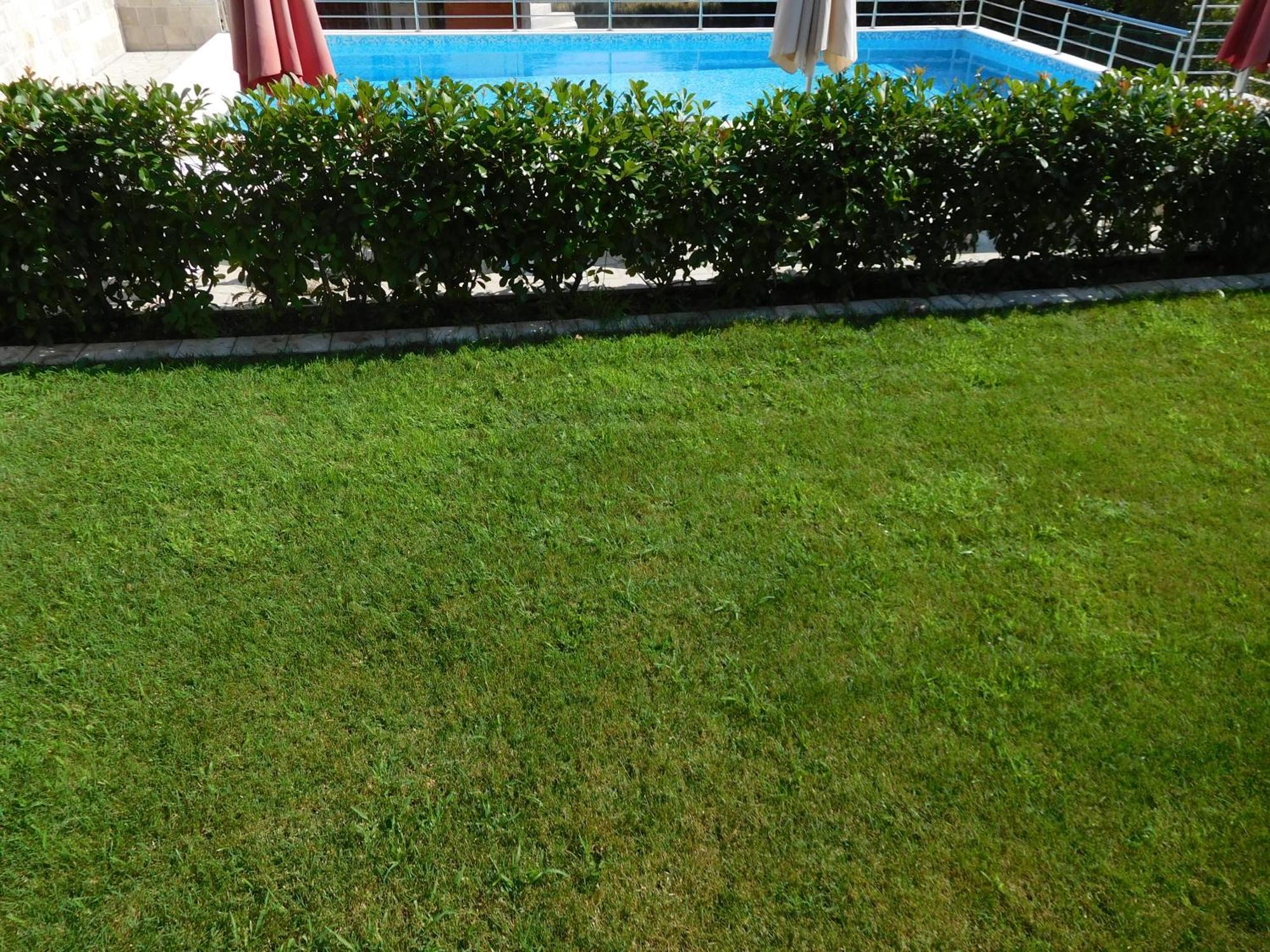 Apartments Sunrise Тиват Экстерьер фото