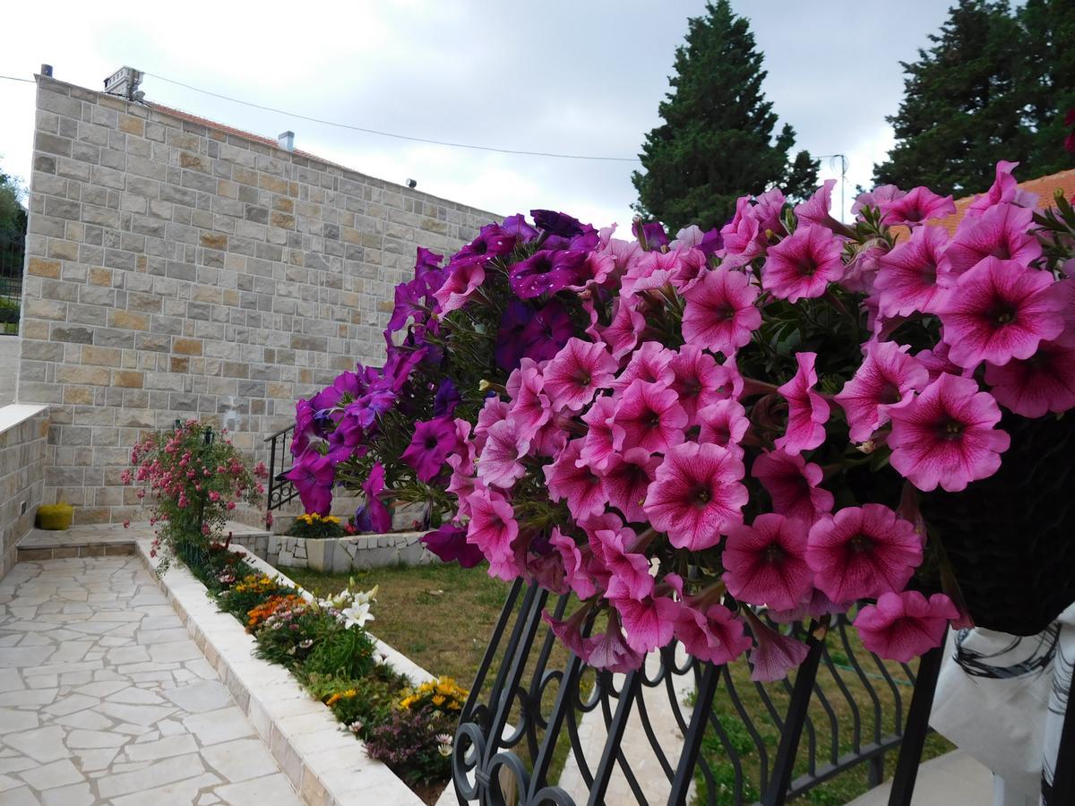 Apartments Sunrise Тиват Экстерьер фото